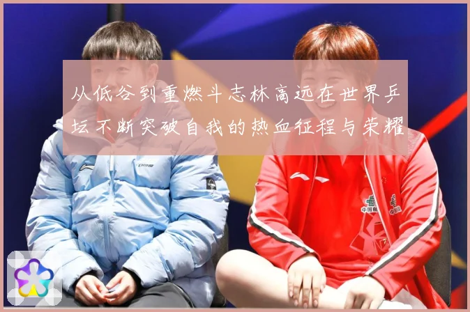 从低谷到重燃斗志林高远在世界乒坛不断突破自我的热血征程与荣耀梦想解析