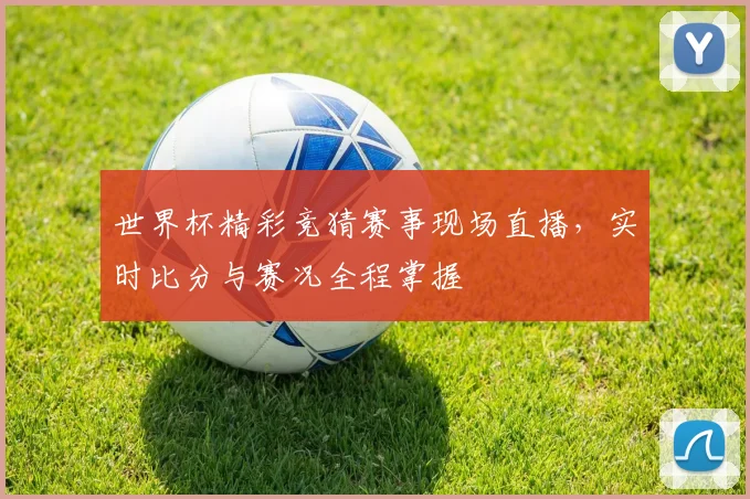 世界杯精彩竞猜赛事现场直播，实时比分与赛况全程掌握