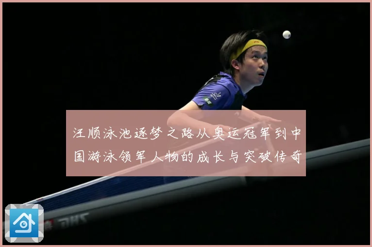 汪顺泳池逐梦之路从奥运冠军到中国游泳领军人物的成长与突破传奇