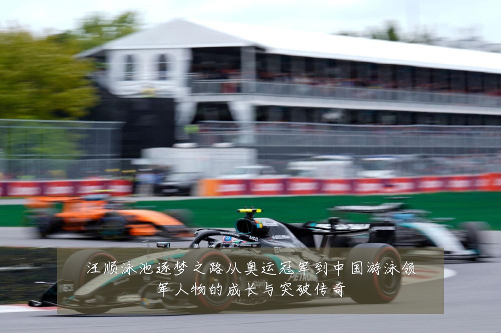 汪顺泳池逐梦之路从奥运冠军到中国游泳领军人物的成长与突破传奇