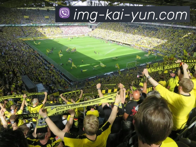 开云平台展示图