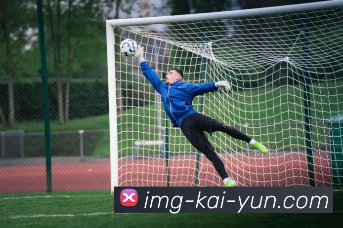 开云APP下载攻略及安装教程让你轻松体验全新功能